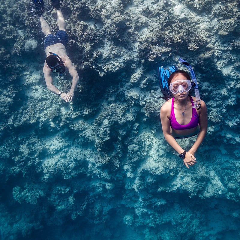 Suunto D4f Black - Image 6