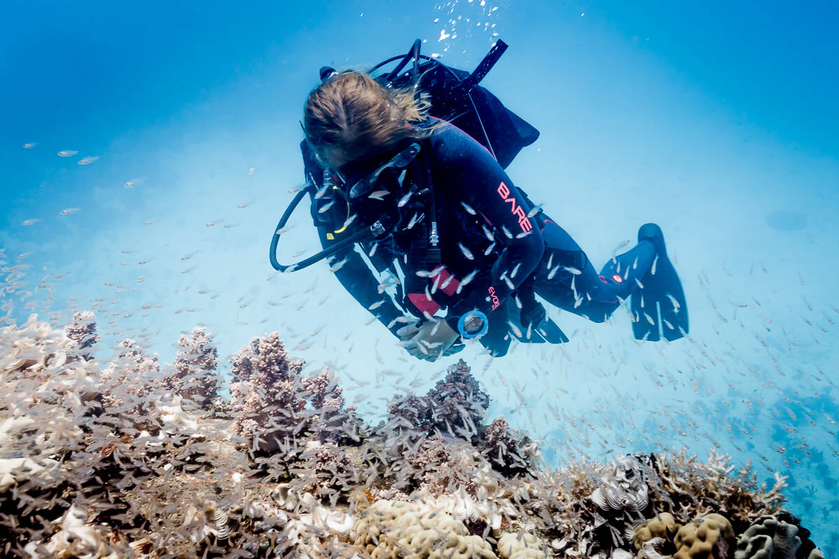 SUUNTO ZOOP NOVO BLUE - Image 7